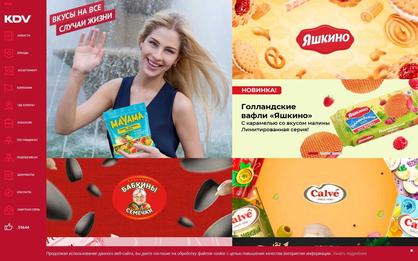 Снимок kdv-group.com