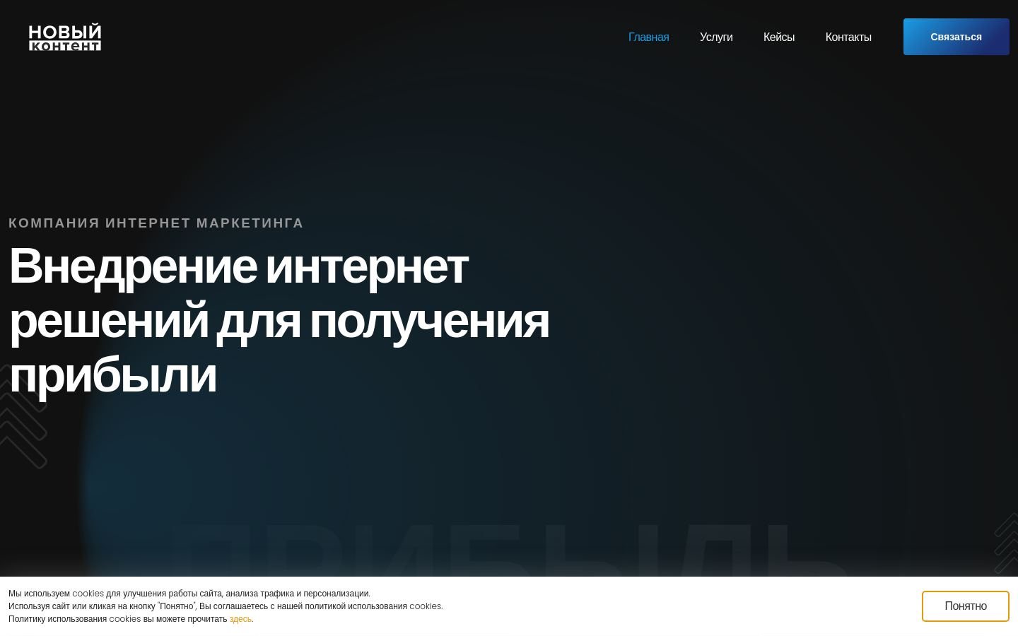 Снимок new-content.ru