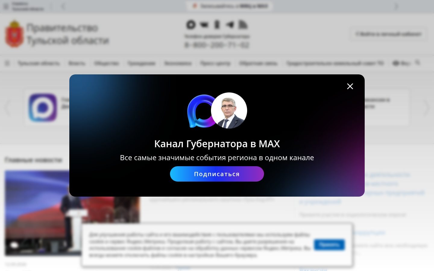Снимок tularegion.ru