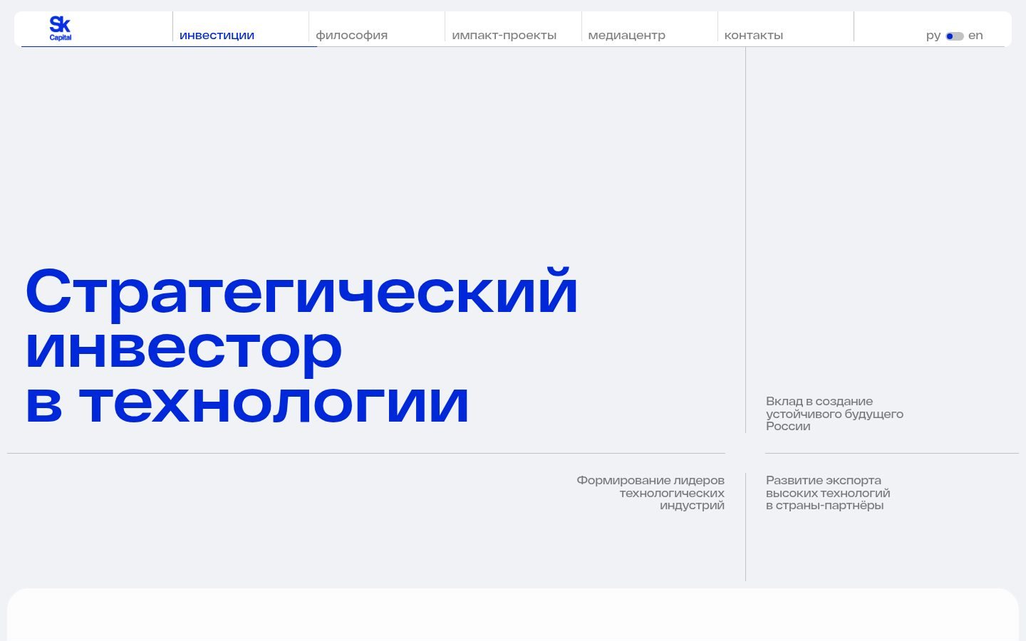 Снимок skcap.ru