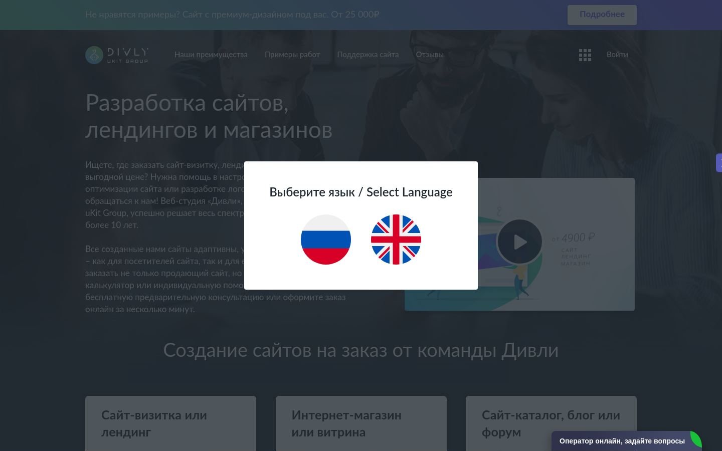 Снимок divly.ru