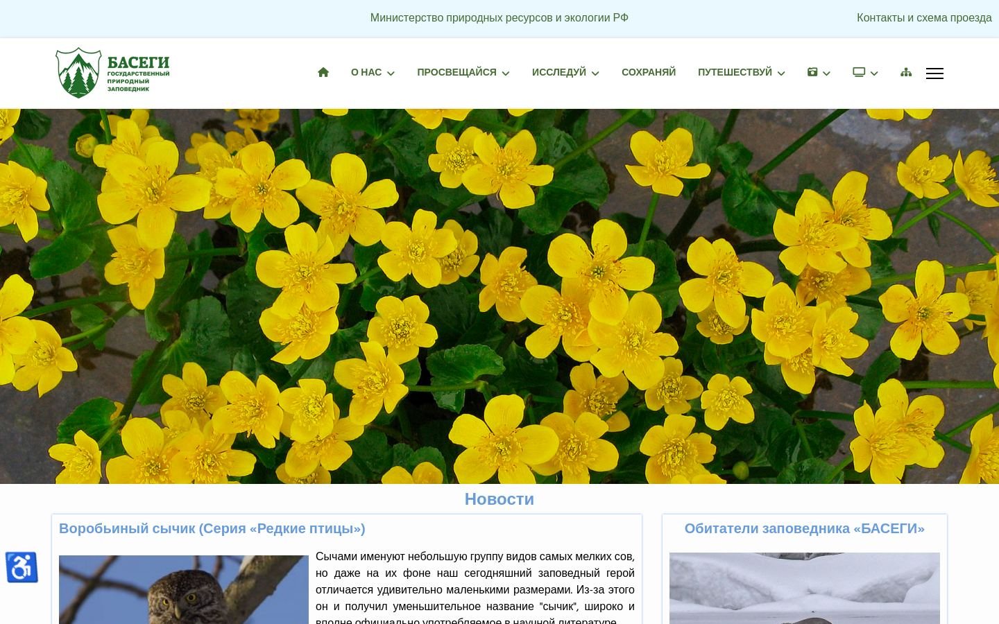 Снимок basegi.ru