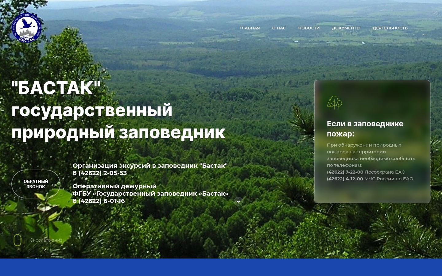 Снимок bastak-eao.ru