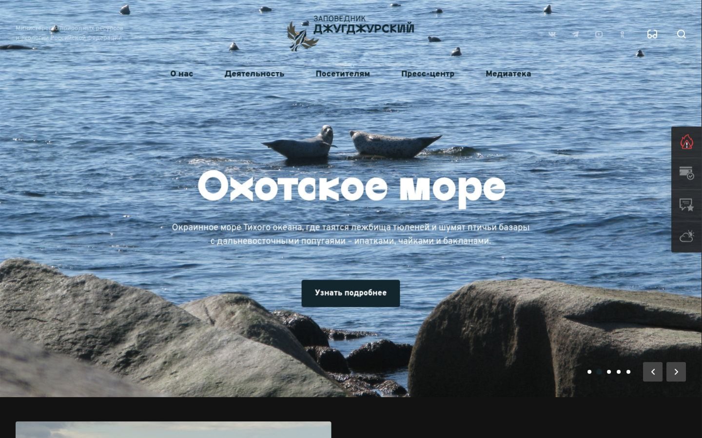 Снимок djugdjur.ru