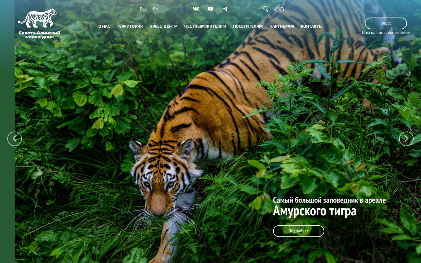 Снимок sikhote-alin.ru
