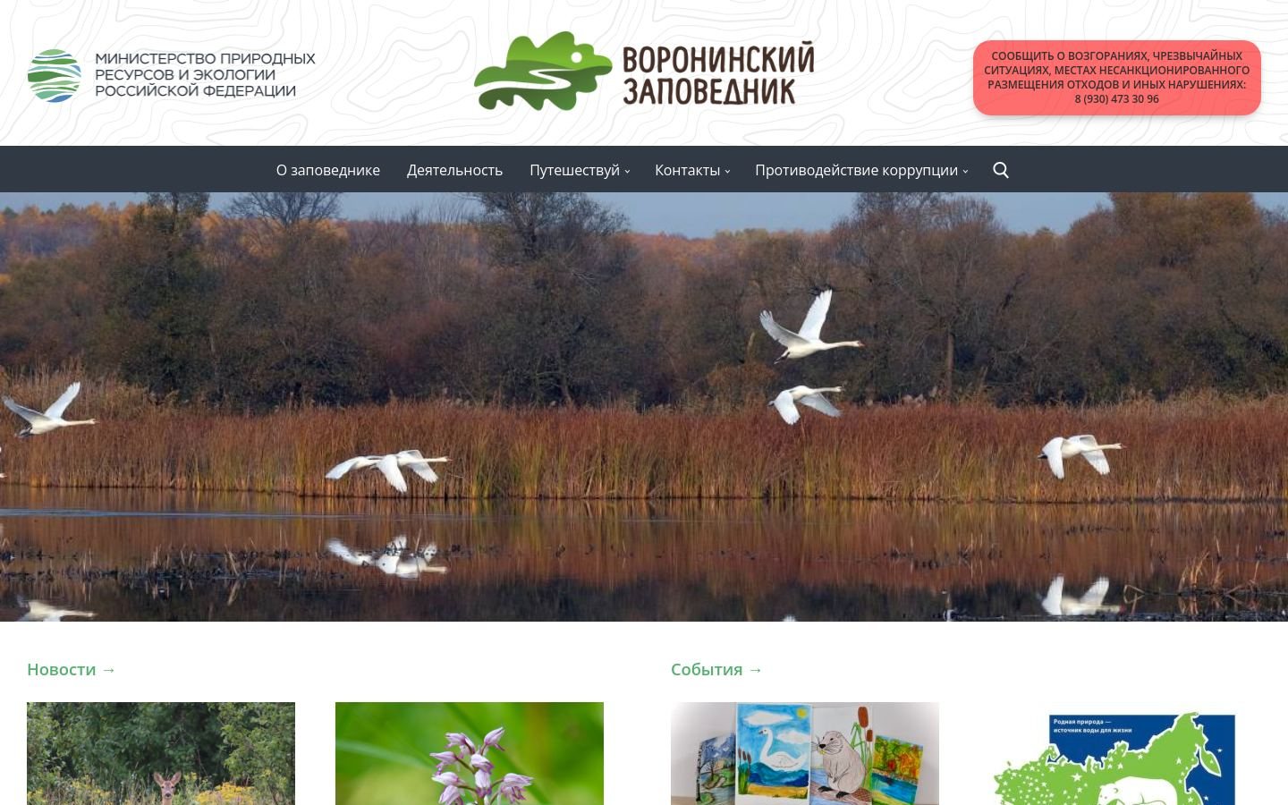 Снимок voroninsky.ru