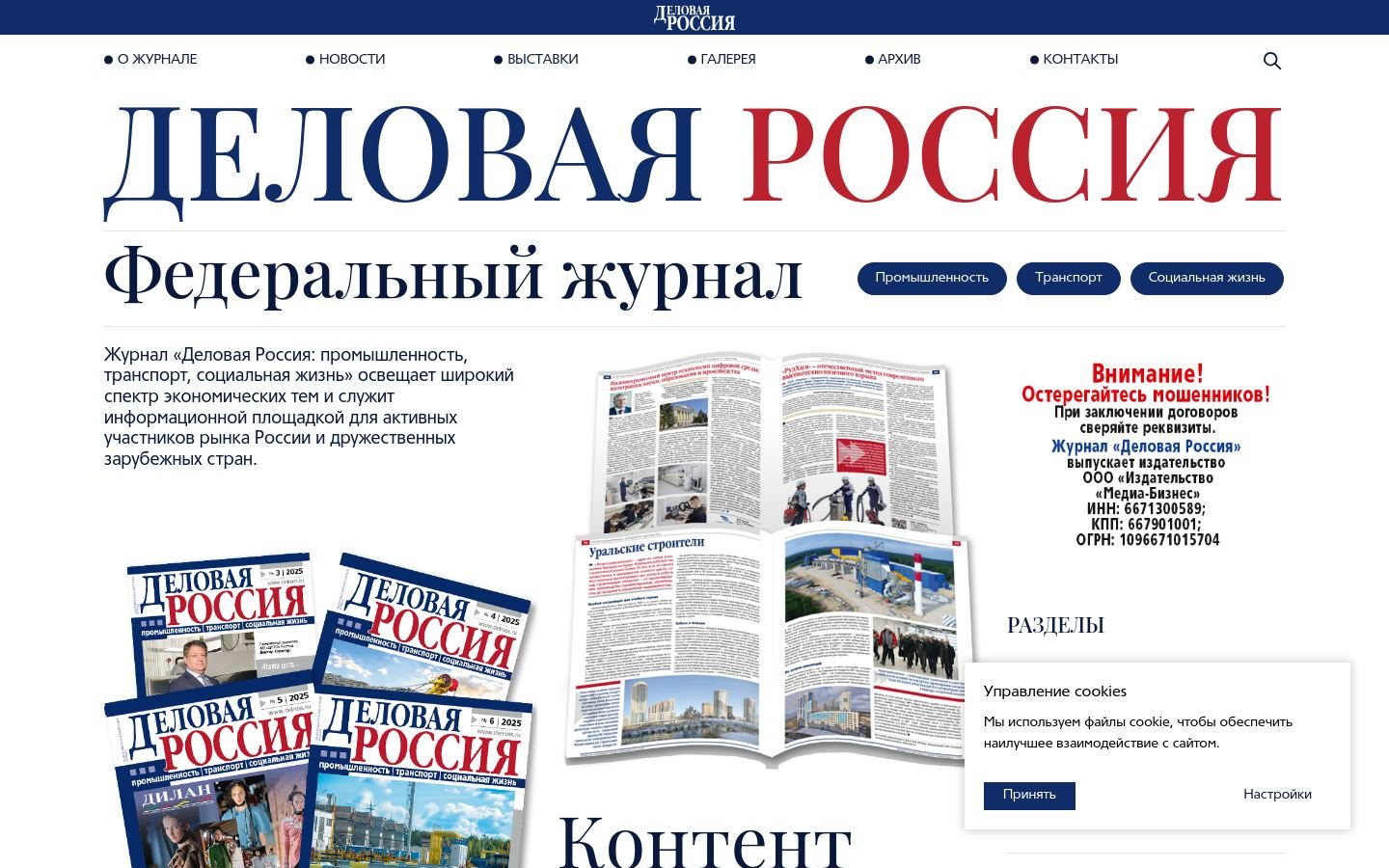 Снимок delruss.ru