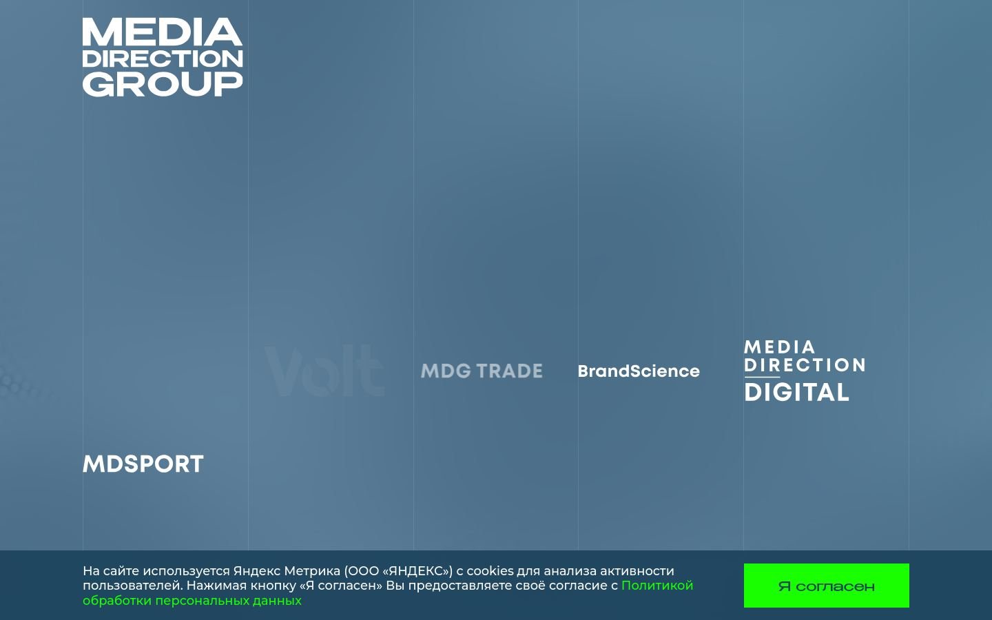 Снимок mediadirectiongroup.ru