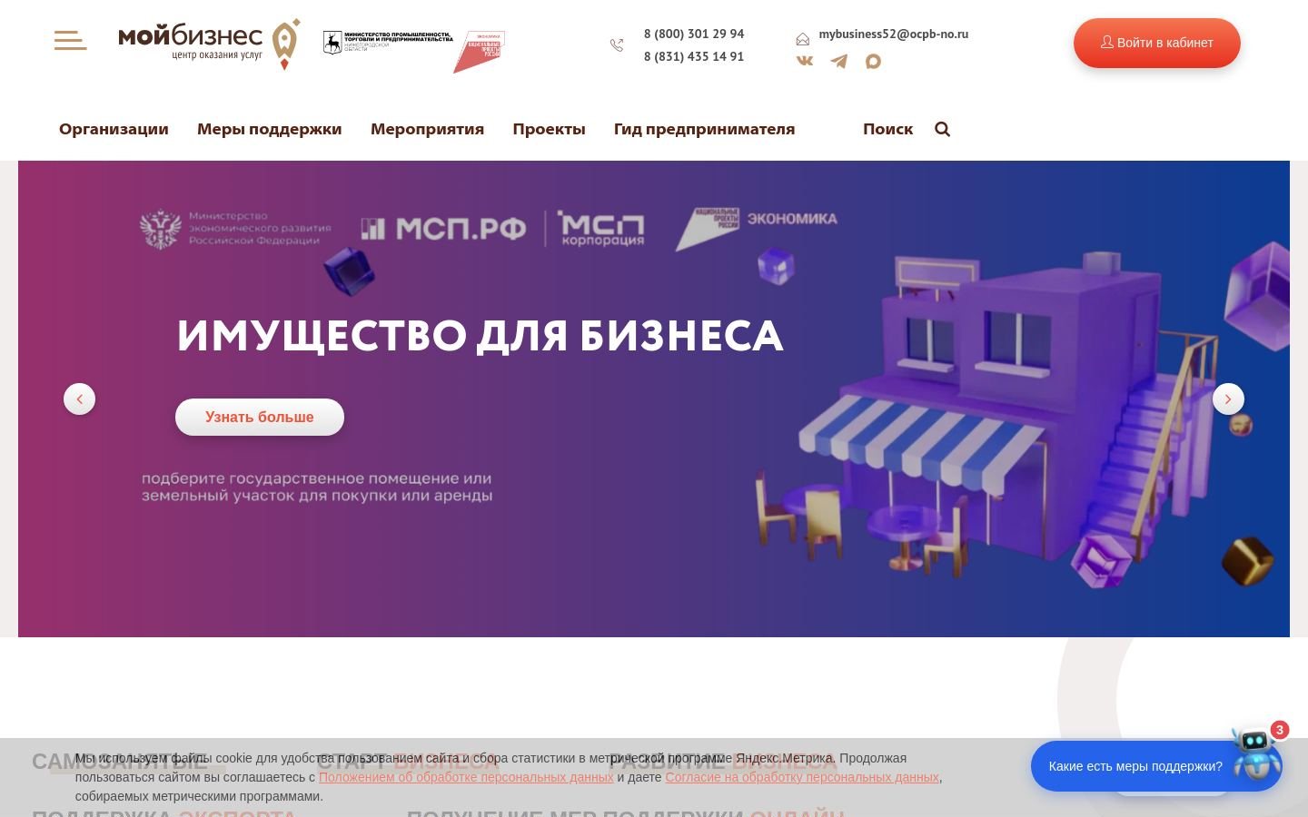 Снимок мойбизнес52.рф