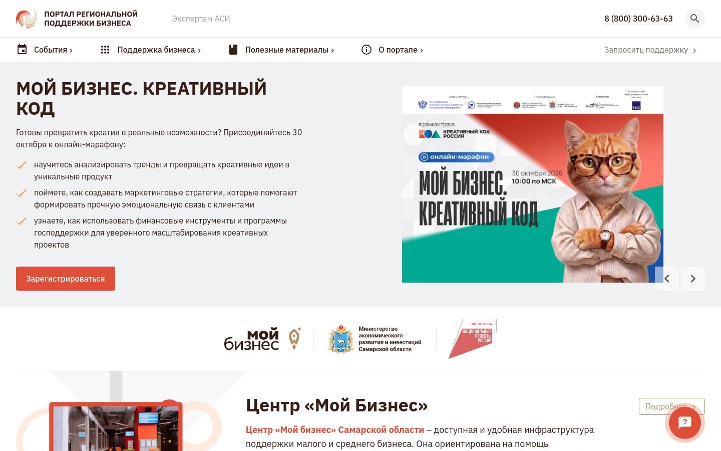 Снимок mybiz63.ru