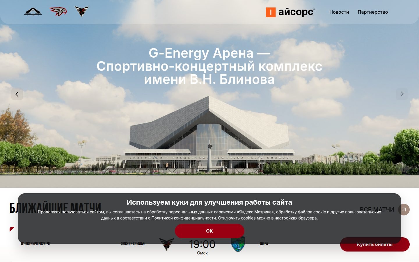Снимок skk-blinova.ru