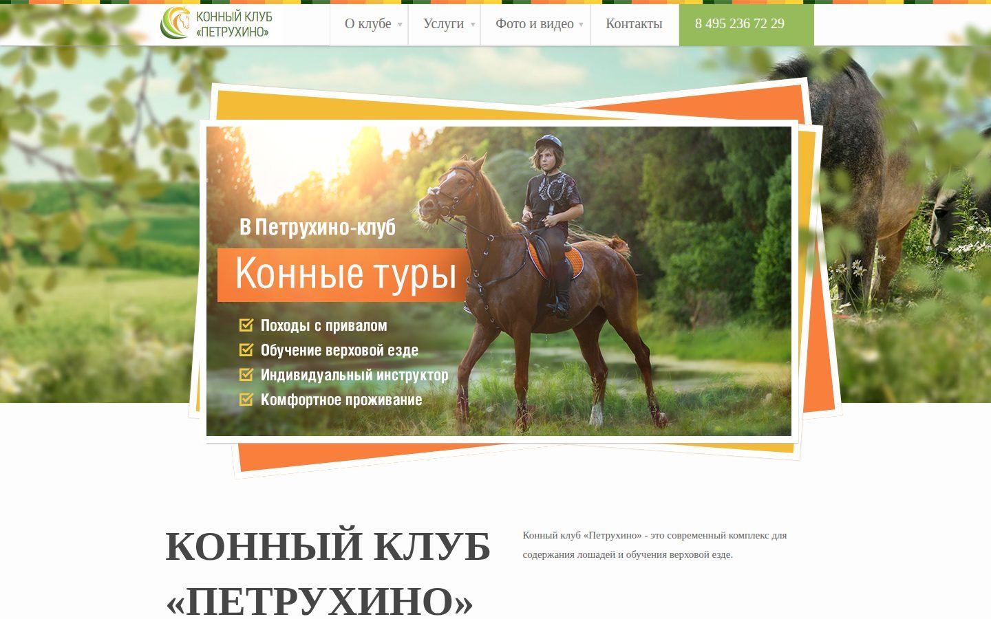 Снимок petruhino-horse.ru