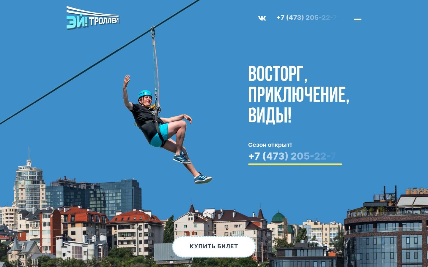 Снимок trolleyvrn.ru