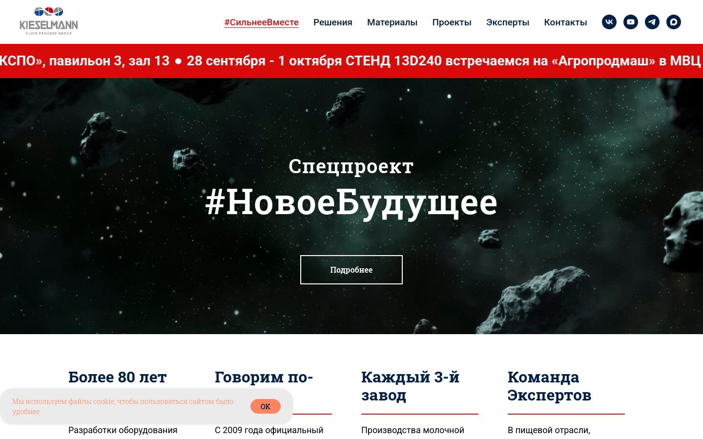 Снимок kieselmann.ru