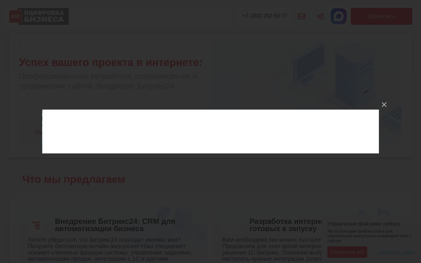 Снимок iconsystems.ru