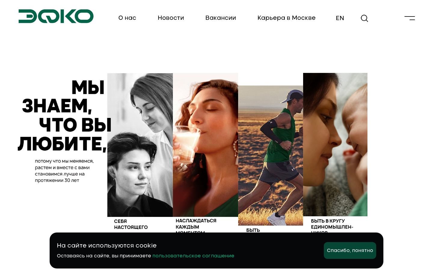 Снимок efko.ru
