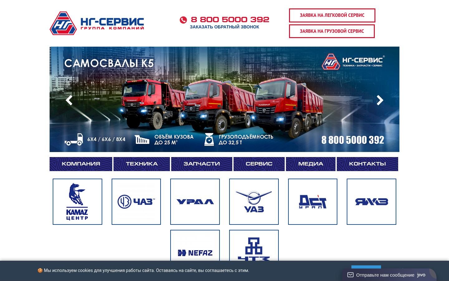 Снимок ng-servis.ru