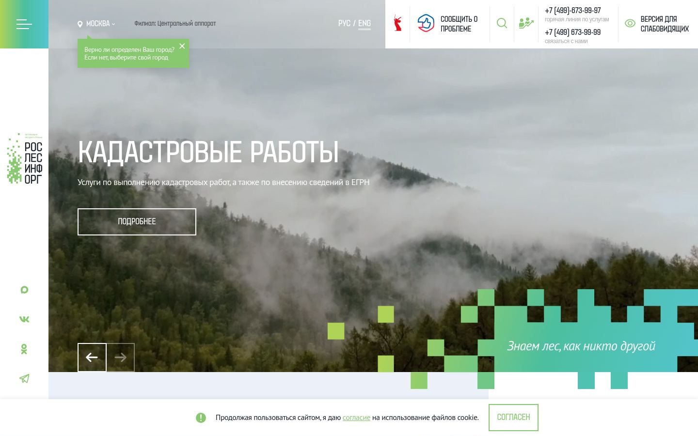 Снимок roslesinforg.ru