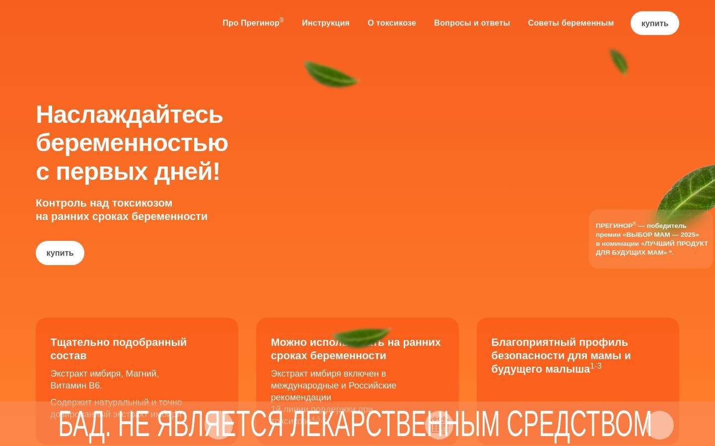 Снимок preginor.ru