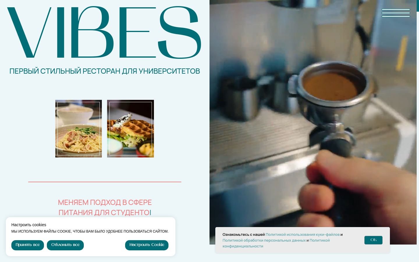 Снимок vibesgroup.ru