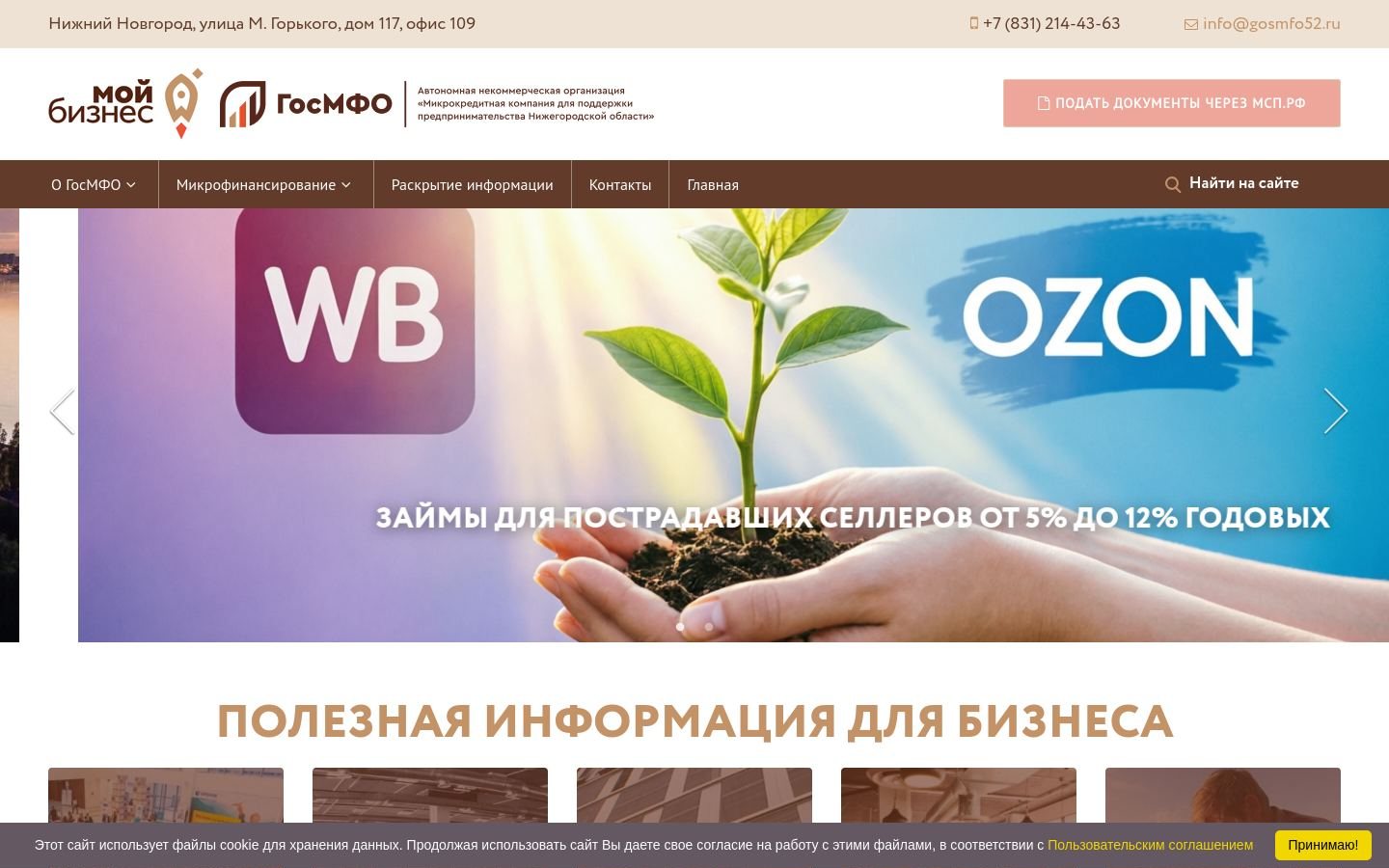Снимок gosmfo52.ru