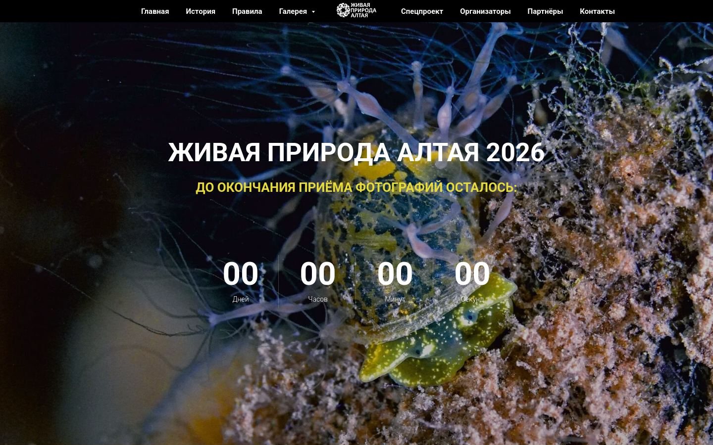 Снимок fotoaltai.ru