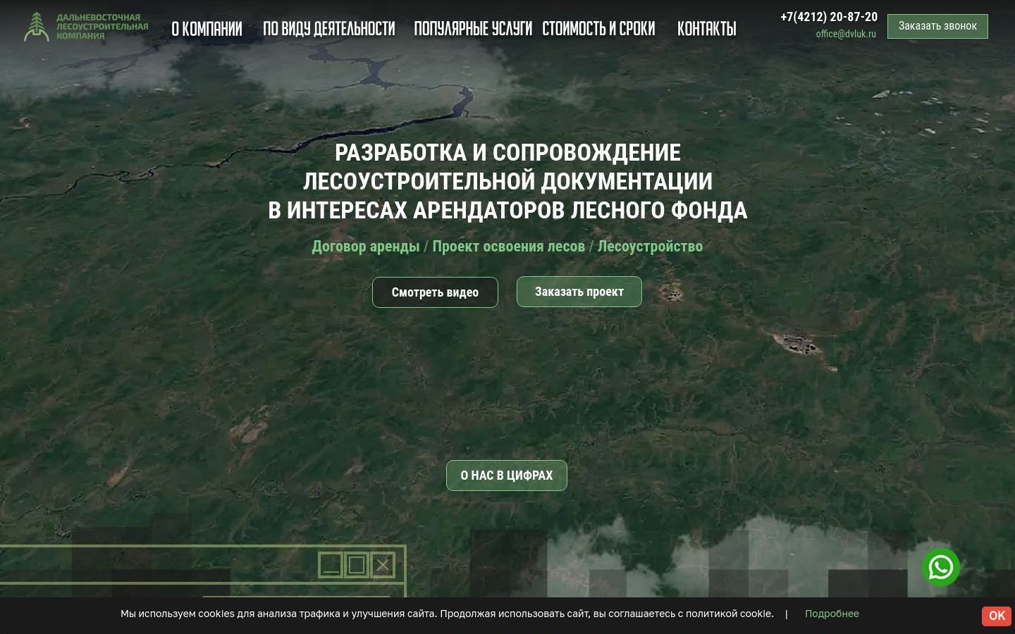 Снимок dvluk.ru