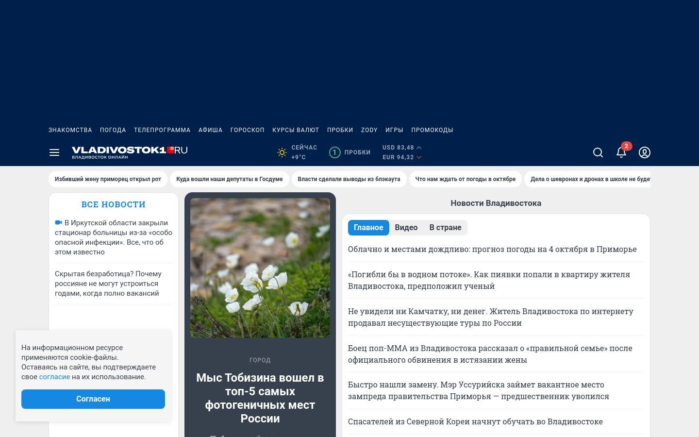 Снимок vladivostok1.ru