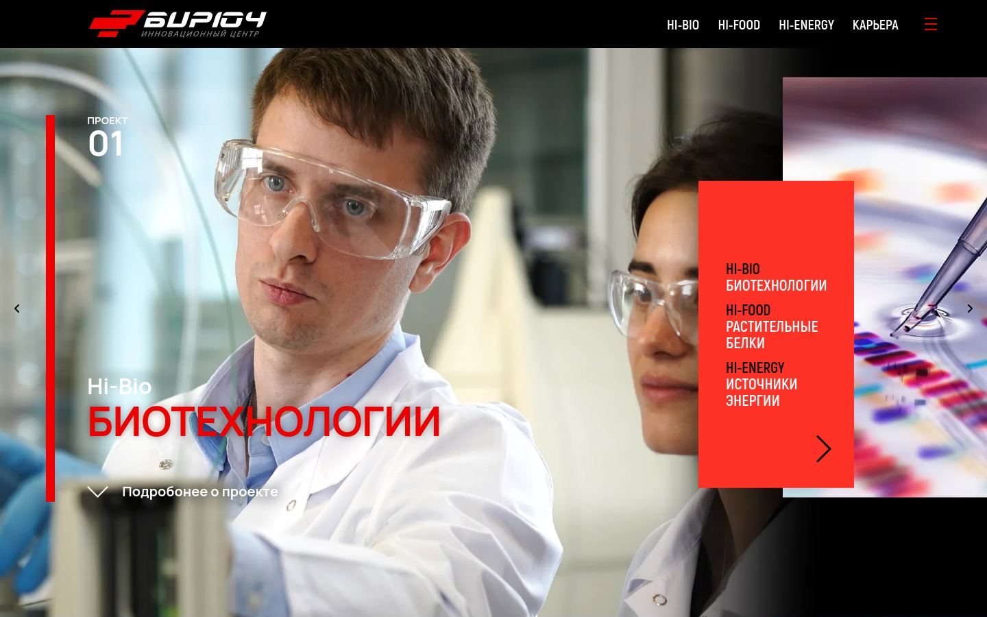 Снимок biruch.ru