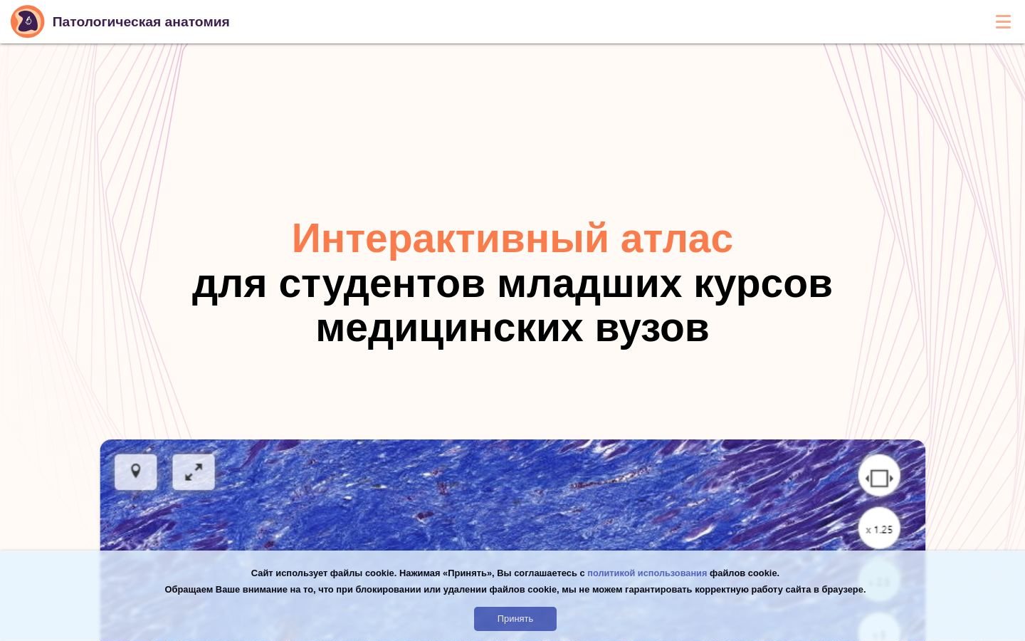Снимок path-anatomy.ru