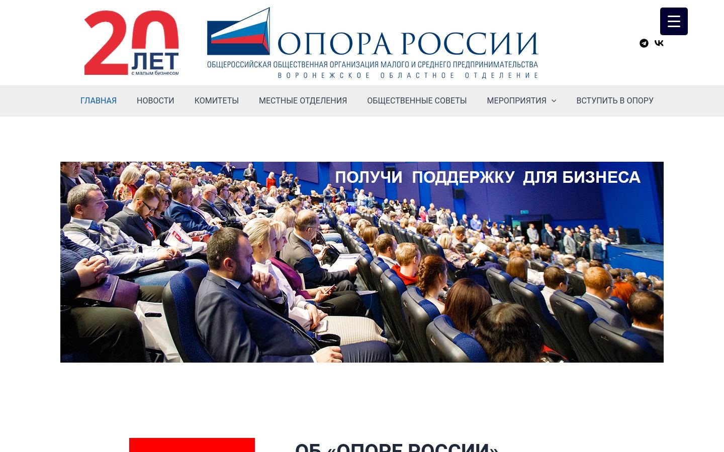Снимок oporavoronezh.ru