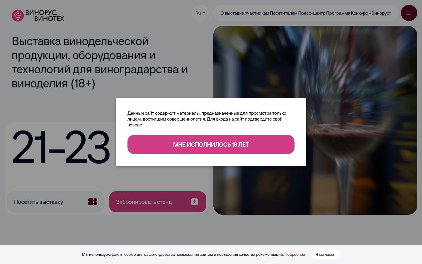 Снимок vinorus.ru