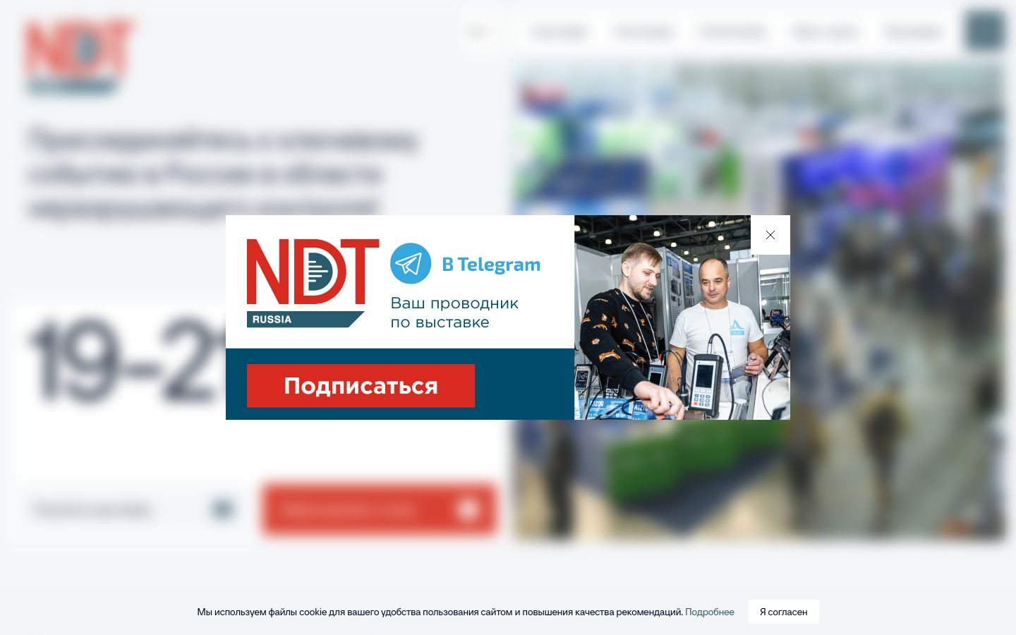 Снимок ndt-russia.ru