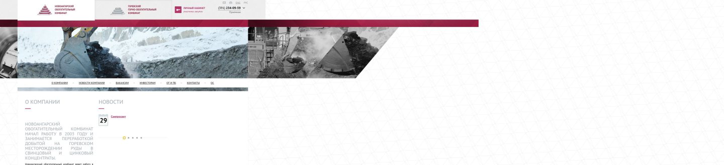 Снимок nokgroup.ru