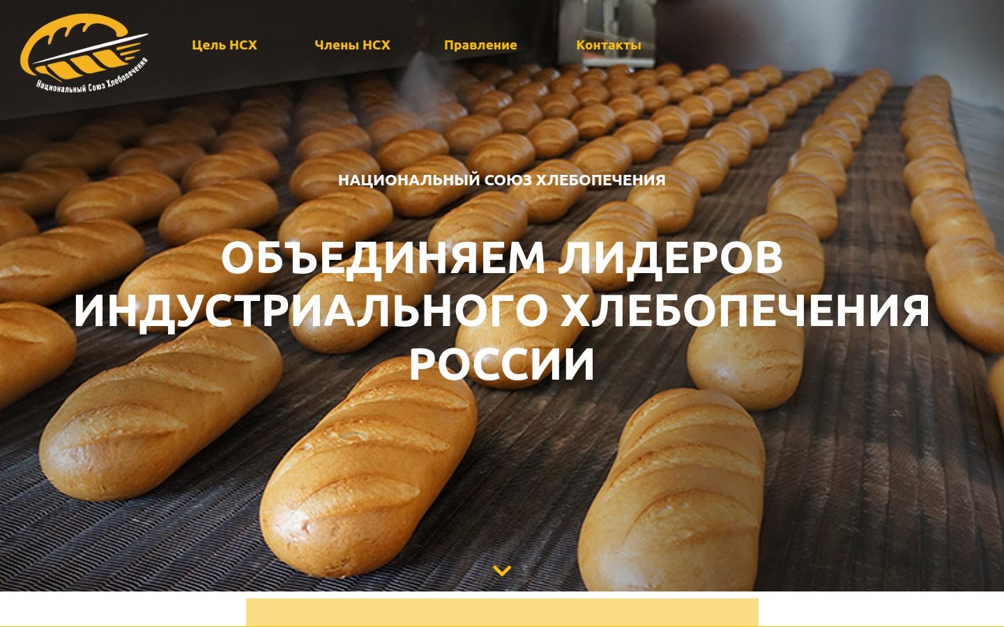 Снимок nnubb.ru