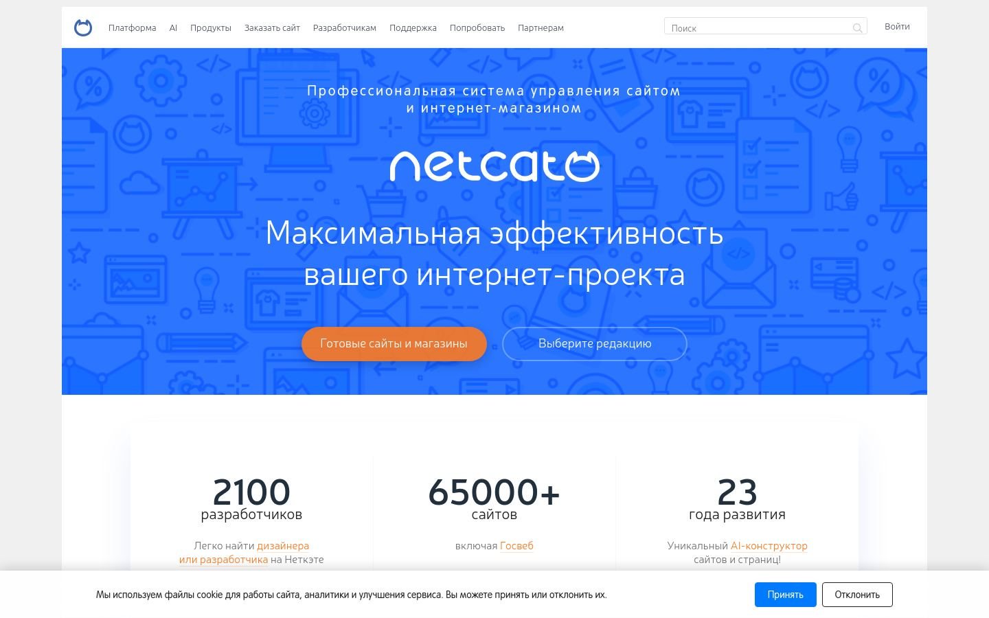 Снимок netcat.ru