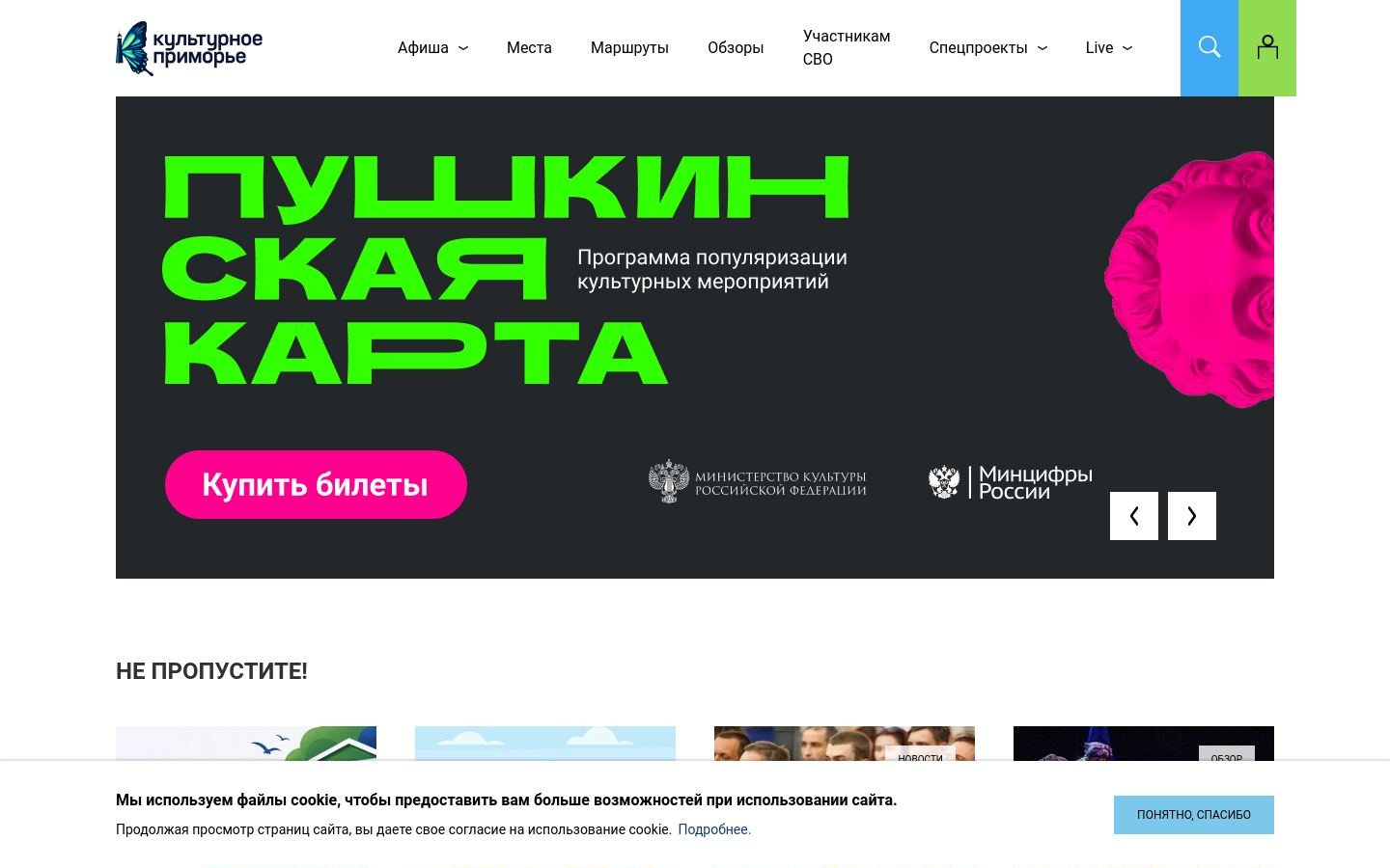 Снимок primcult.ru