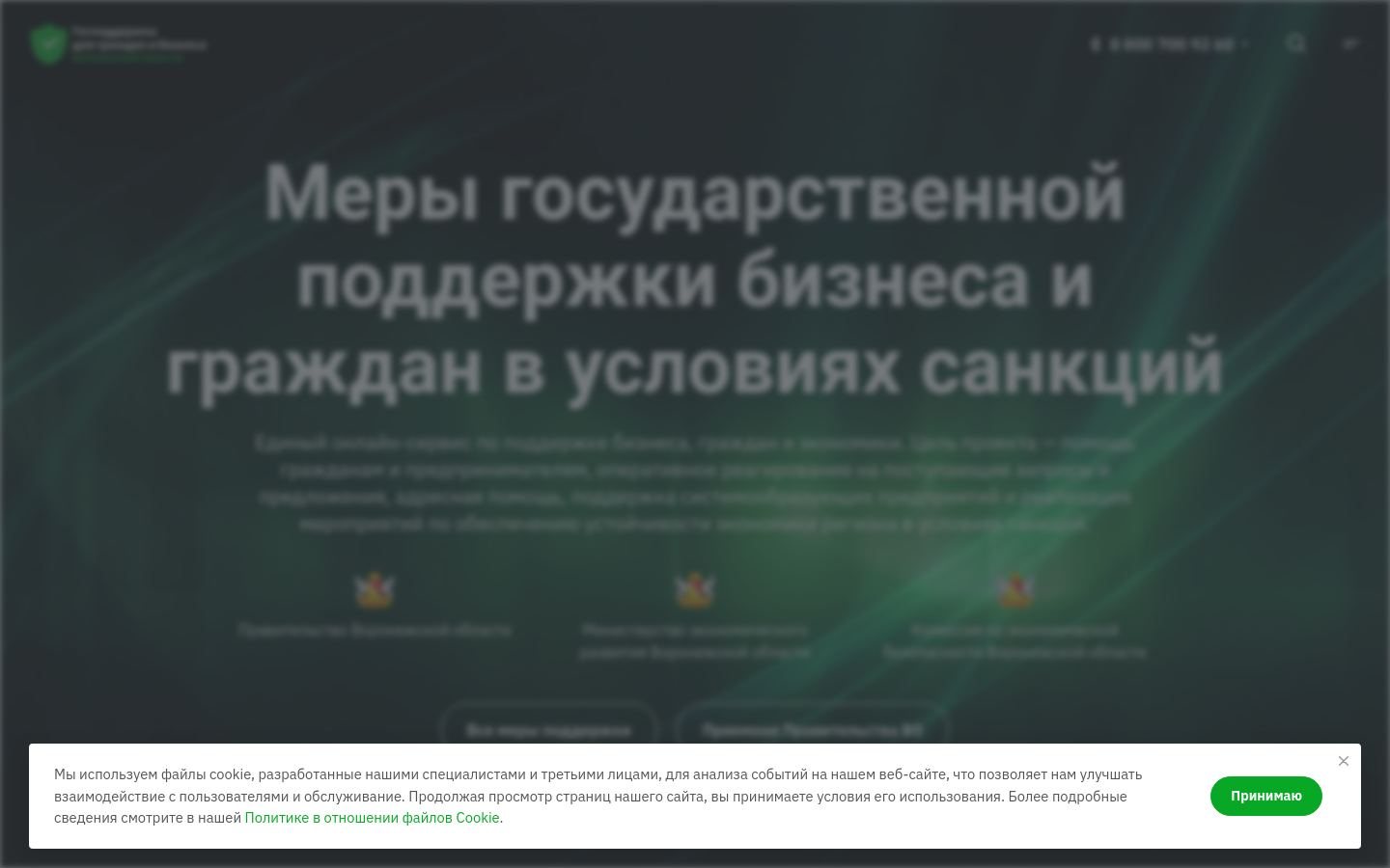 Снимок господдержка36.рф