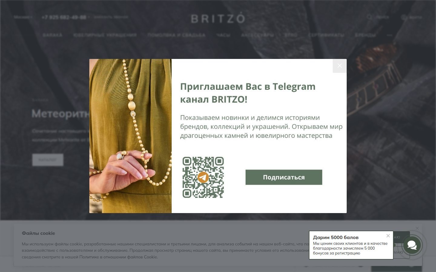 Снимок britzo.ru