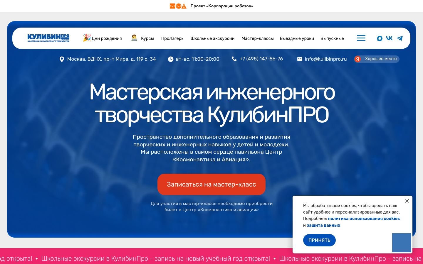 Снимок kulibinpro.ru