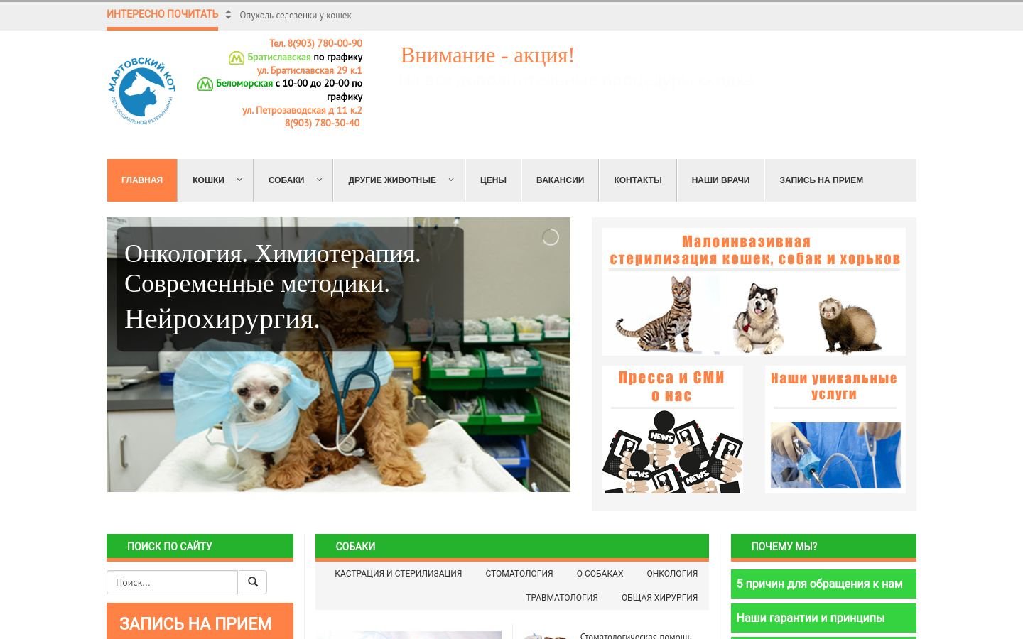 Снимок doctor-veterinar.ru