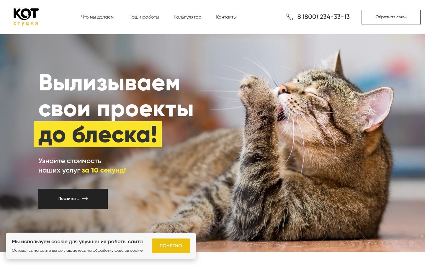 Снимок kotstudio.ru