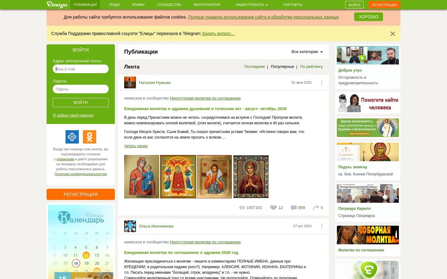 Снимок elitsy.ru