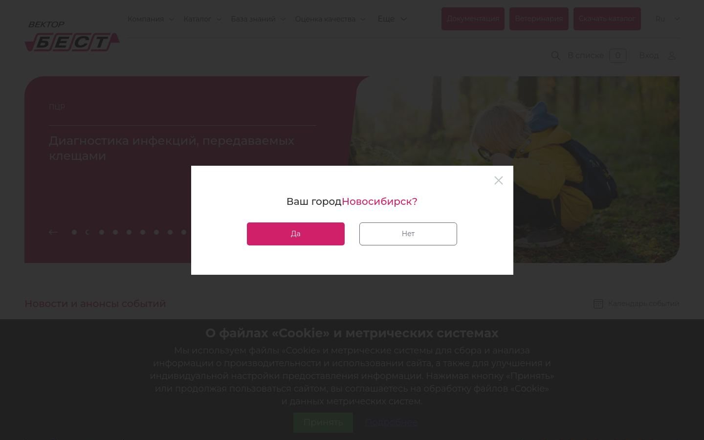Снимок vector-best.ru