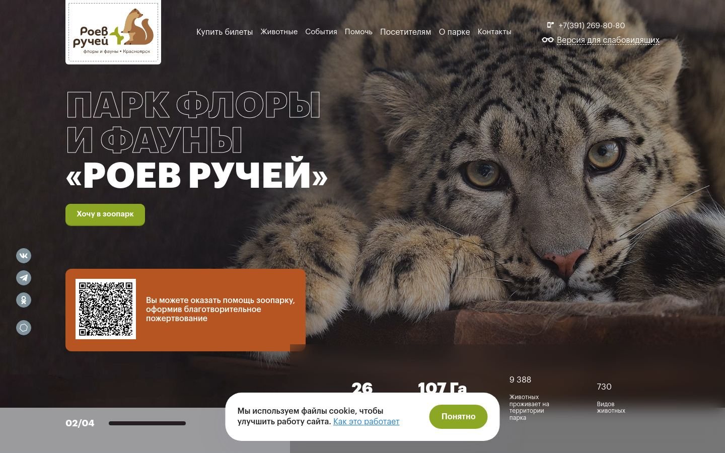 Снимок roev.ru
