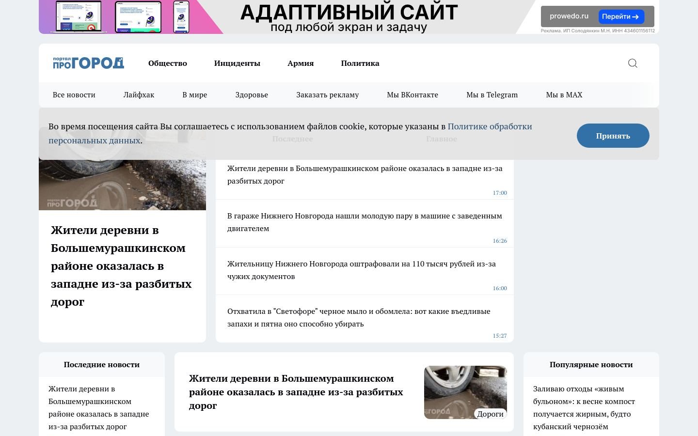 Снимок progorodnn.ru