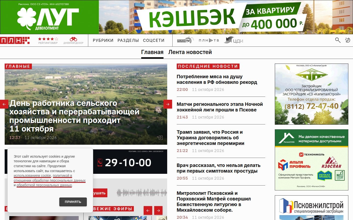 Снимок pln-pskov.ru