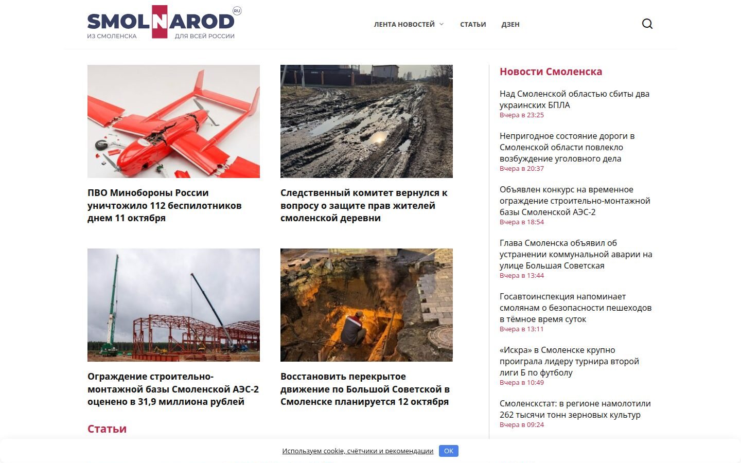 Снимок smolnarod.ru