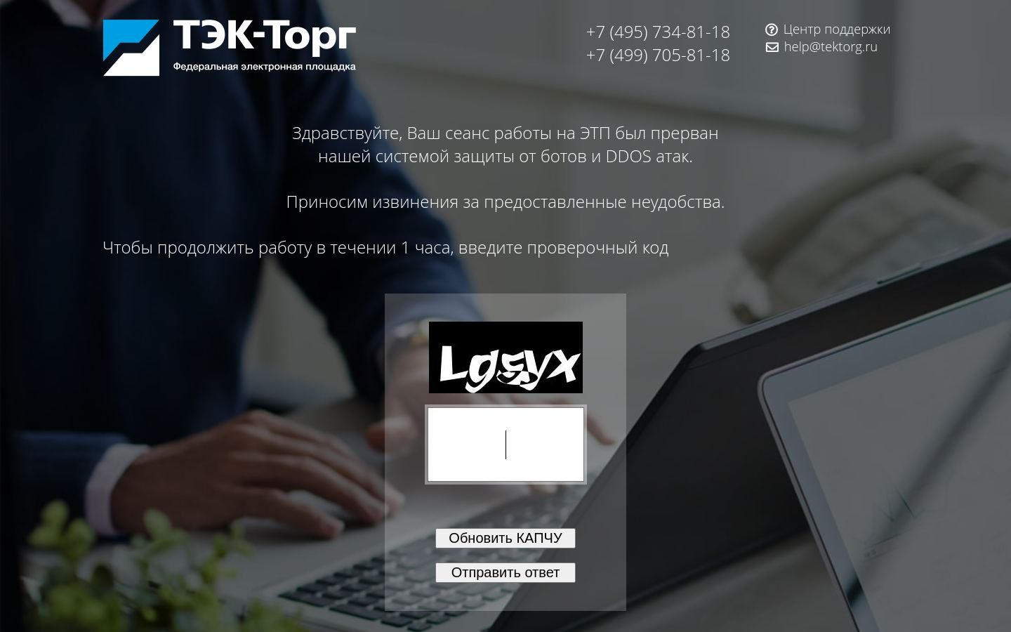 Снимок tektorg.ru