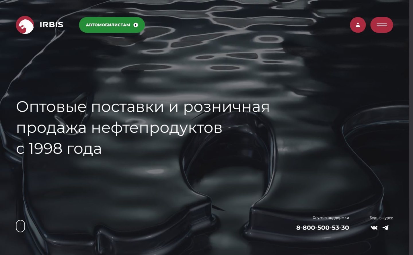 Снимок azsirbis.ru